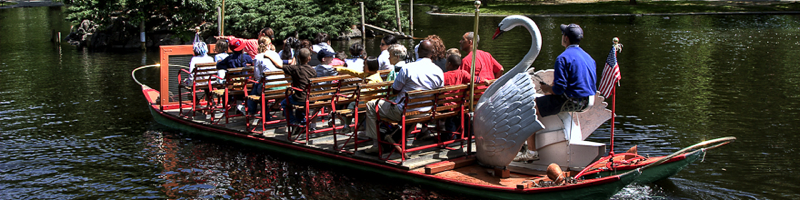 Swan Boat