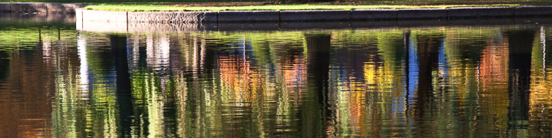 Boston Public Garden